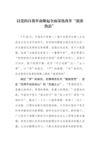 以党的自我革命掀起全面深化改革“滚滚热浪”.docx