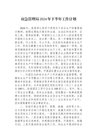 应急管理局2024年下半年工作计划.docx