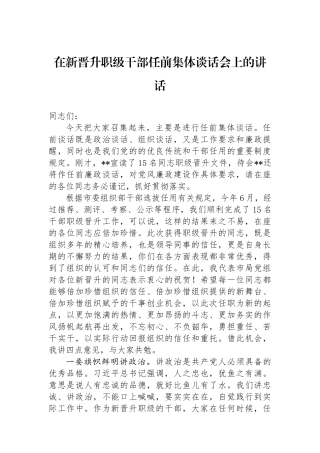 在新晋升职级干部任前集体谈话会上的讲话.docx