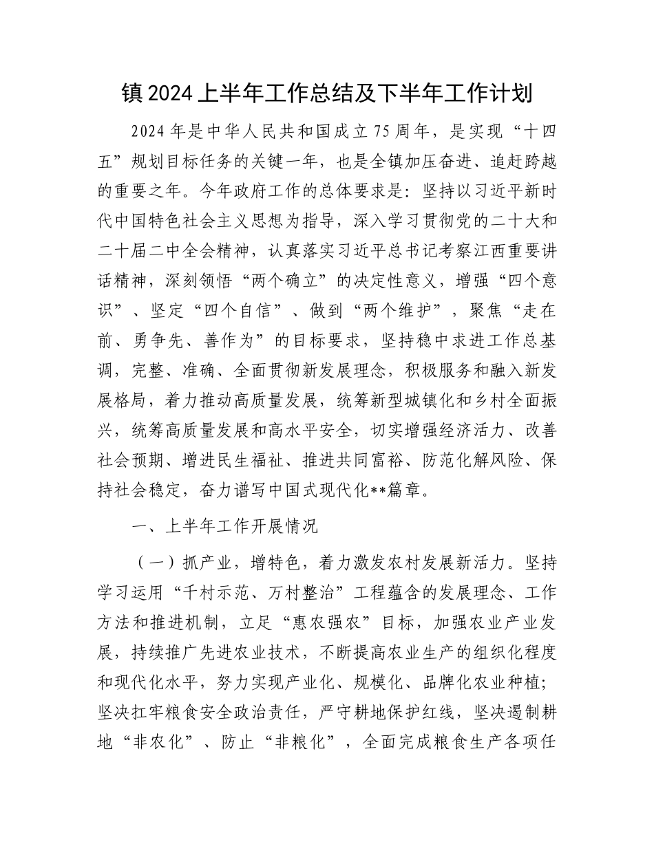 镇2024上半年工作总结及下半年工作计划.docx_第1页