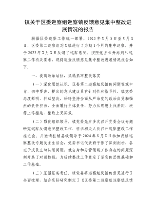 镇关于区委巡察组巡察镇反馈意见集中整改进展情况的报告.docx