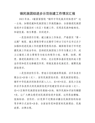 镇民族团结进步示范创建工作情况汇报.docx