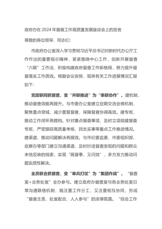 政府办在2024年督查工作高质量发展座谈会上的发言.docx