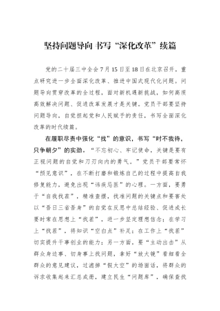 坚持问题导向 书写“深化改革”续篇.docx