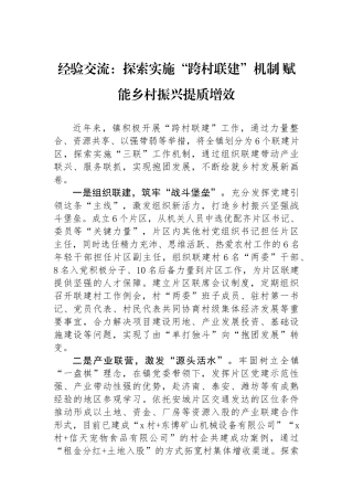 经验交流：探索实施“跨村联建”机制赋能乡村振兴提质增效.docx