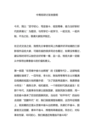 中青班研讨发言提纲.docx