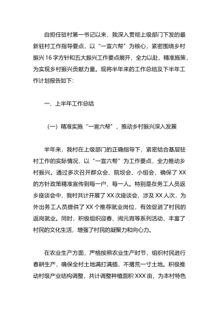 驻村书记半年工作总结及下半年工作计划.docx