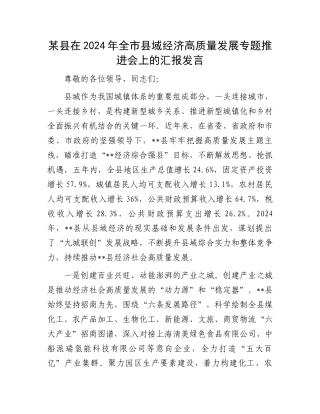 某县在2024年全市县域经济高质量发展专题推进会上的汇报发言.docx