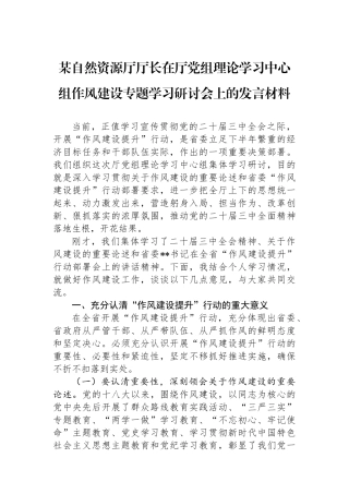 某自然资源厅厅长在厅党组理论学习中心组作风建设专题学习研讨会上的发言材料.docx