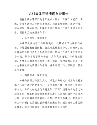 农村集体三资清理自查报告.docx