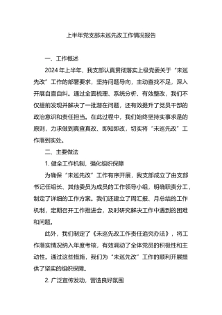 上半年党支部未巡先改工作情况报告.docx