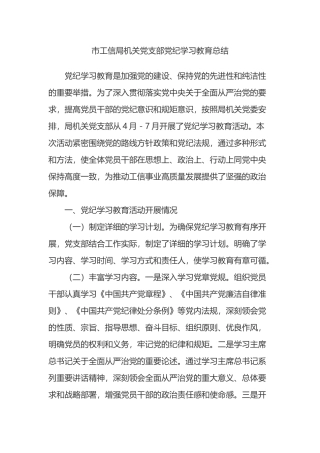 市工信局机关党支部党纪学习教育总结.docx