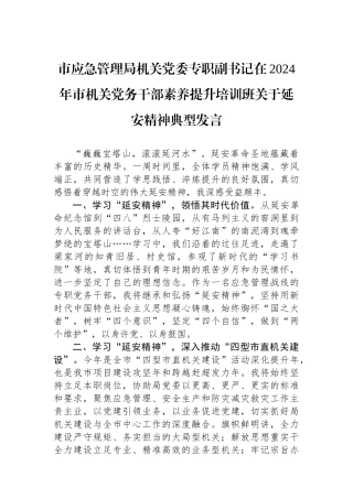 市应急管理局机关党委专职副书记在2024年市机关党务干部素养提升培训班关于延安精神典型发言.docx