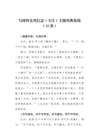 写材料实用信念（专注）主题用典集锦（20条）.docx