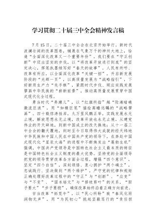 学习贯彻二十届三中全会精神发言稿.docx