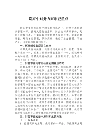 巡察中财务方面审查重点.docx