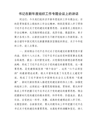 书记在新年度组织工作专题会议上的讲话.docx