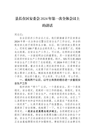 县长在区安委会2024年第一次全体会议上的讲话.docx
