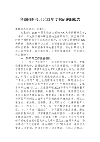 乡镇团委书记2023年度书记述职报告.docx