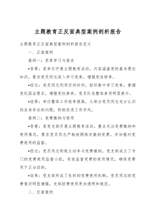 主题教育正反面典型案例剖析报告（第二批次）.docx