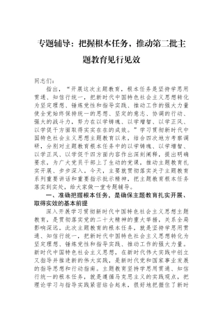 专题辅导：把握根本任务，推动第二批主题教育见行见效.docx
