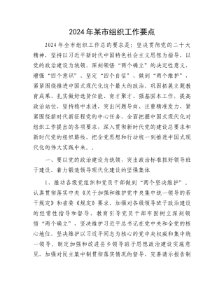 2024年某市组织工作要点.docx
