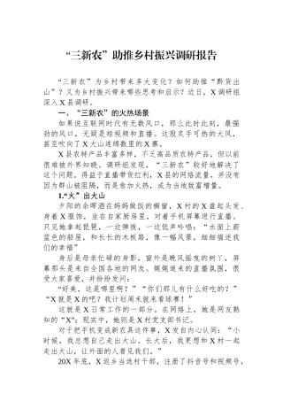 “三新农”助推乡村振兴调研报告.docx