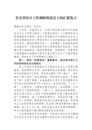 在全省审计工作调研座谈会上的汇报发言.docx