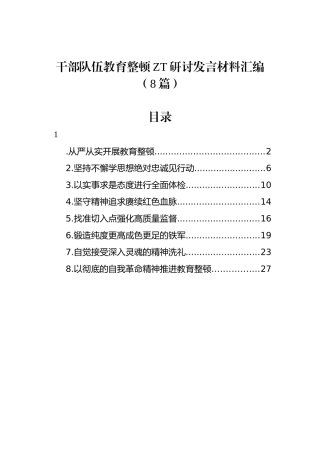 干部队伍教育整顿主题研讨发言材料汇编（8篇）.docx