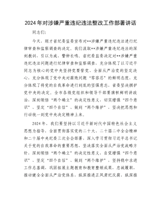 2024年对涉嫌严重违纪违法整改工作部署讲话.docx