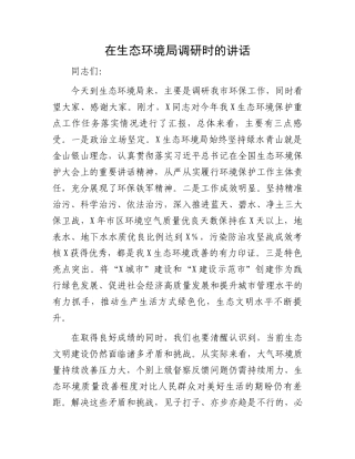 在生态环境局调研时的讲话.docx