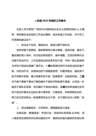 X街道2024年组织工作要点.docx