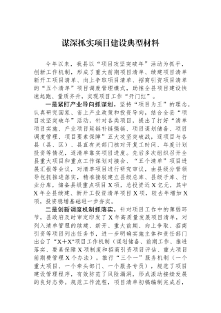 谋深抓实项目建设典型材料.docx