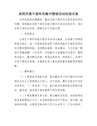 某局开展干部作风集中整顿活动实施方案.docx