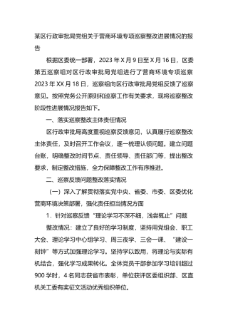 某区行政审批局党组关于营商环境专项巡察整改进展情况的报告汇报总结.docx