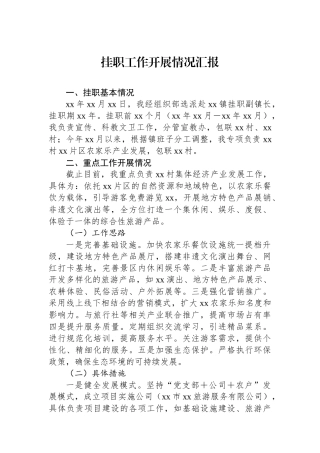 挂职工作开展情况汇报.docx