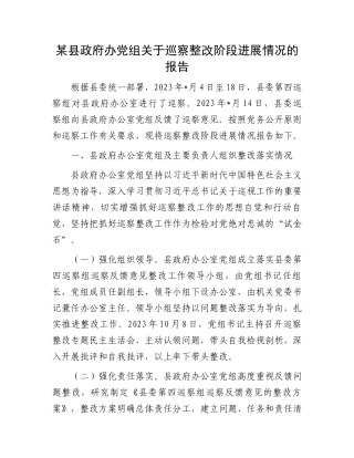 某县政府办党组关于巡察整改阶段进展情况的报告.docx