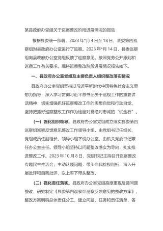 某县政府办党组关于巡察整改阶段进展情况的报告总结.docx