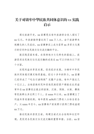 关于对铸牢中华民族共同体意识的xx实践启示.docx