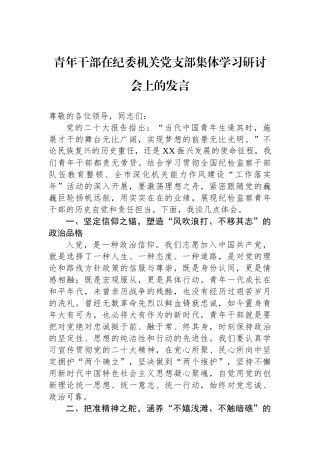 青年干部在纪委机关党支部集体学习研讨会上的发言.docx