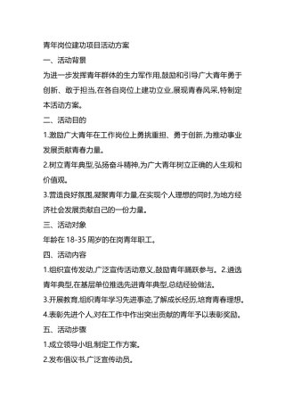 青年岗位建功项目活动方案.docx