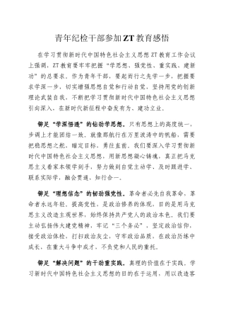 青年纪检干部参加主题教育感悟.docx