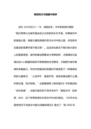规划先行才能振兴有序.docx