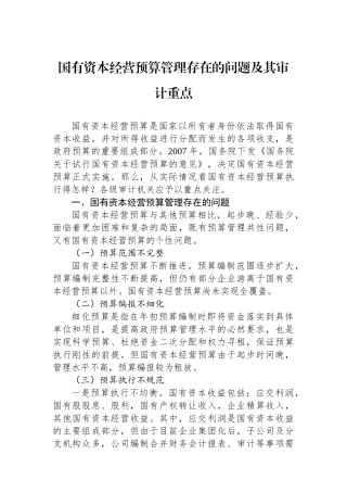 国有资本经营预算管理存在的问题及其审计重点.docx