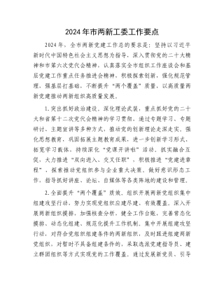 2024年市两新工委工作要点.docx