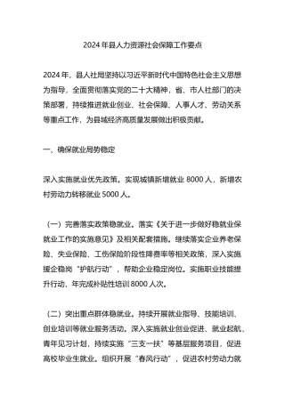 2024年县人力资源社会保障工作要点.docx