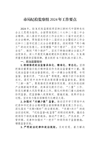 市局纪检监察组2024年工作要点.docx