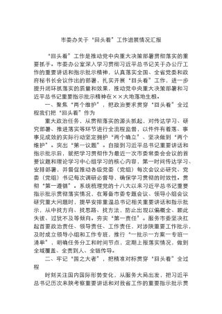 市委办关于“回头看”工作进展情况汇报总结.docx