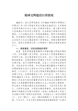 精神文明建设自查情况.docx