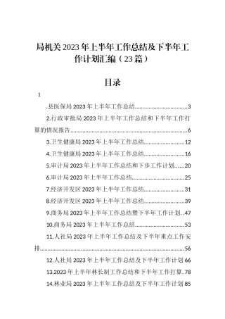 局机关2023年上半年工作总结及下半年工作计划汇编（23篇）.docx